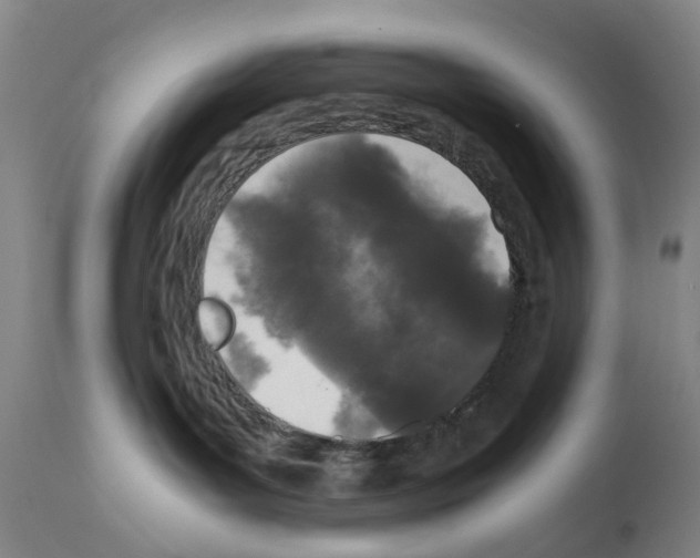 X0000110950143200907311051
