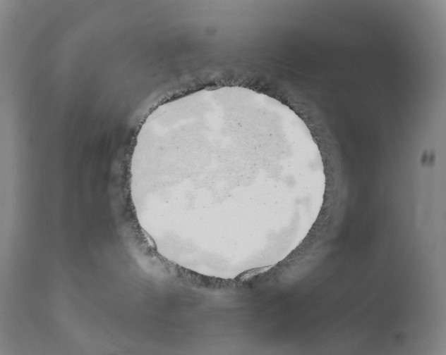 X0000110950144200907311051