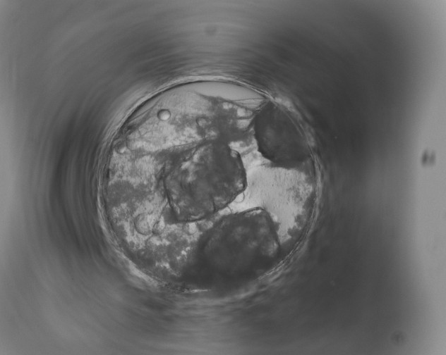 X0000110950145200907311050