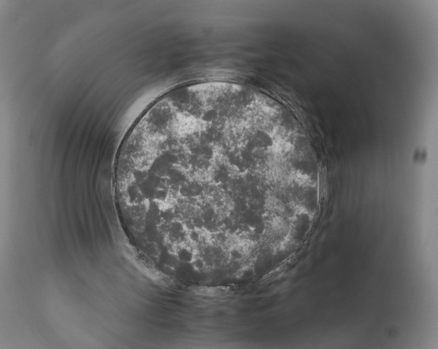 X0000110950147200907311050