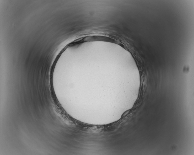 X0000110950148200907311050