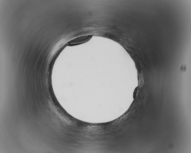 X0000110950150200907311050