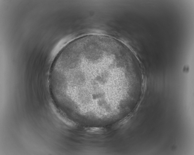 X0000110950151200907311050