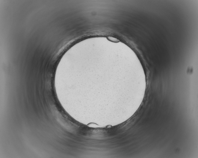 X0000110950154200907311050
