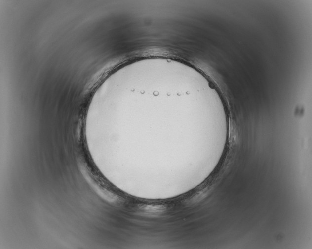X0000110950157200907311050