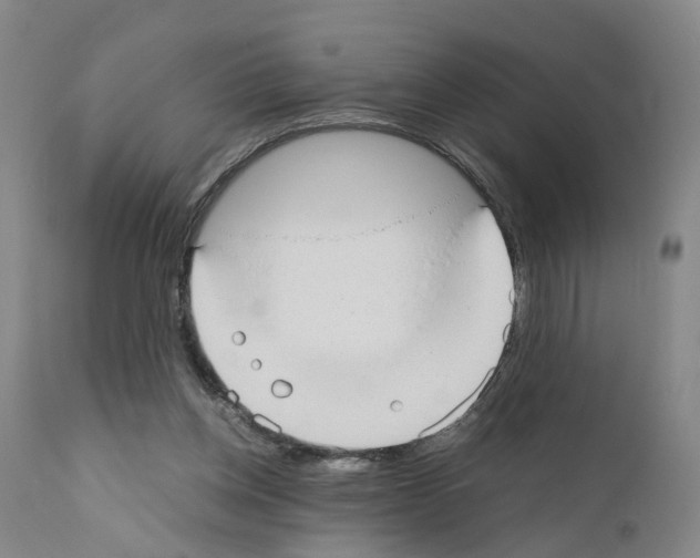 X0000110950158200907311050