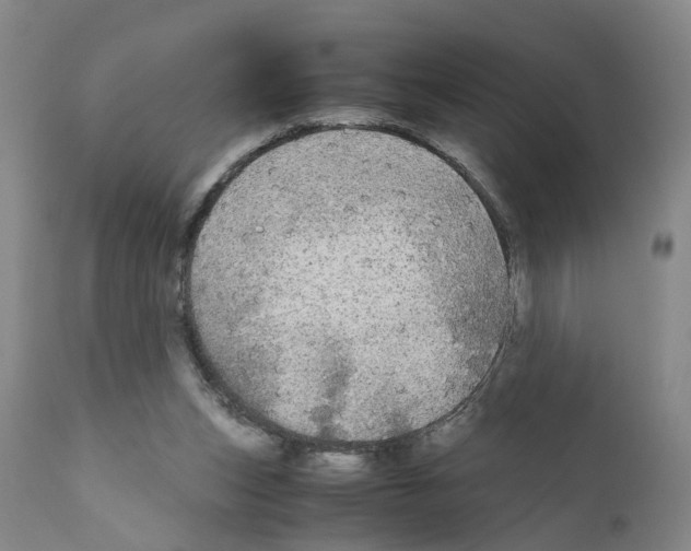 X0000110950159200907311050