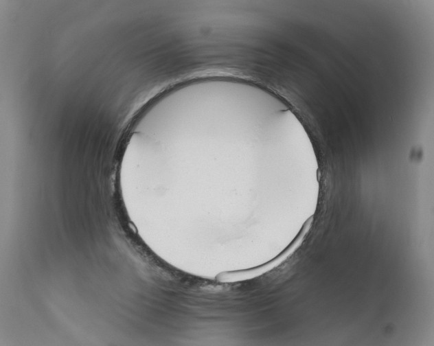 X0000110950160200907311050