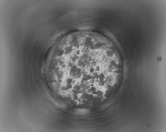 X0000110950161200907311050