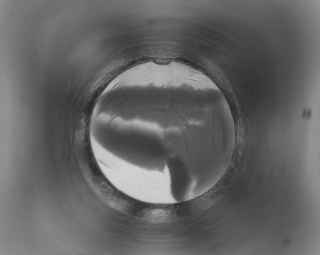 X0000110950163200907311050