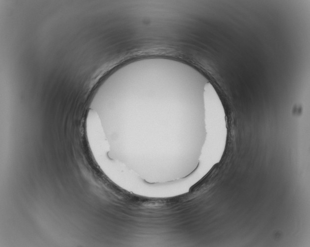 X0000110950164200907311050