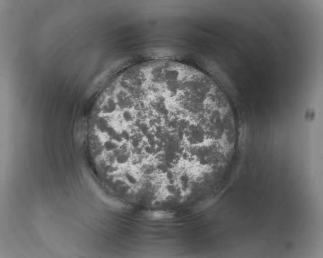 X0000110950165200907311050