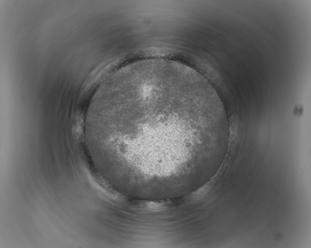 X0000110950166200907311050