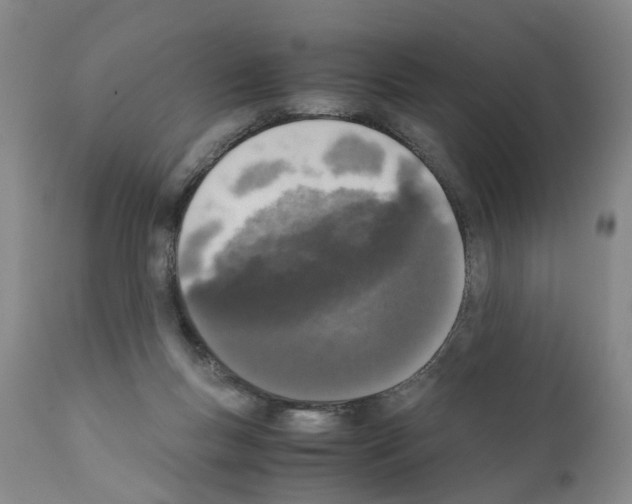 X0000110950167200907311050