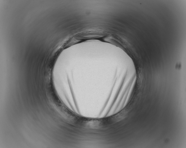 X0000110950168200907311050