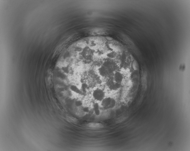 X0000110950169200907311050