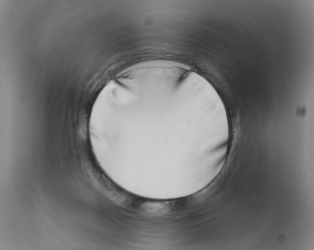 X0000110950170200907311050