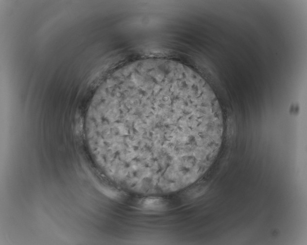 X0000110950173200907311050