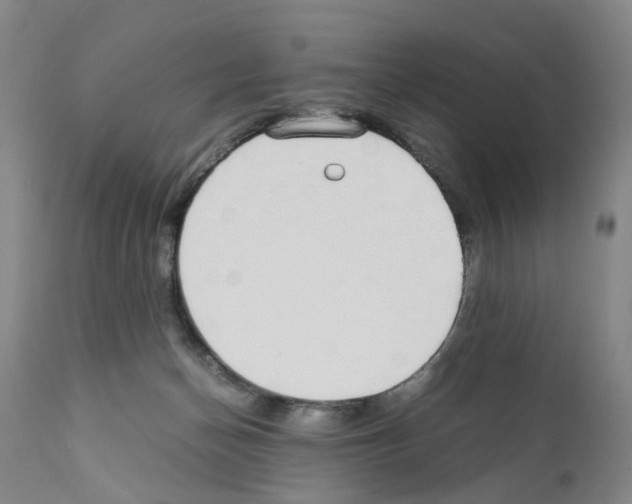 X0000110950174200907311050