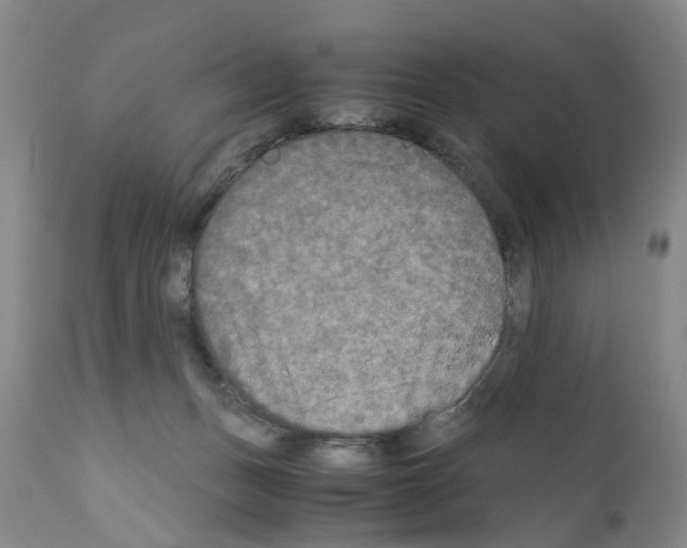 X0000110950175200907311051