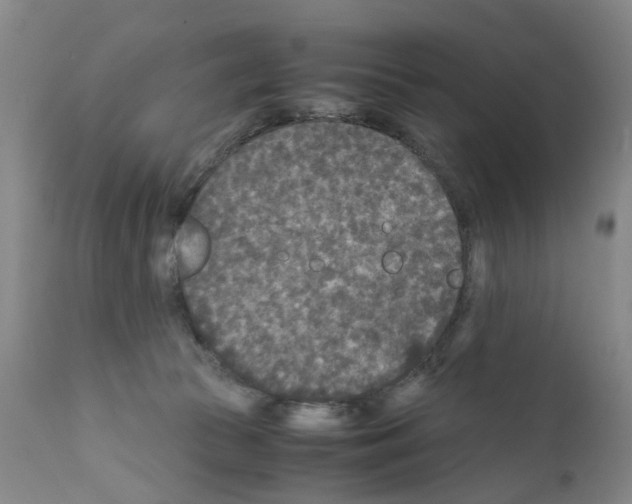 X0000110950177200907311051