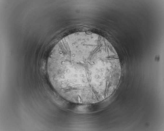 X0000110950178200907311051