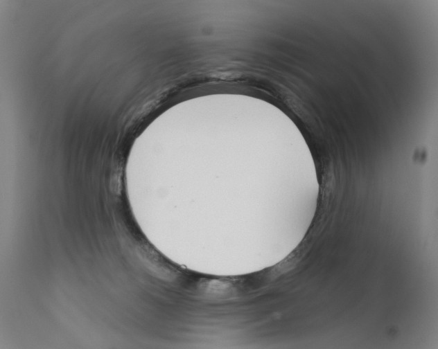 X0000110950180200907311051
