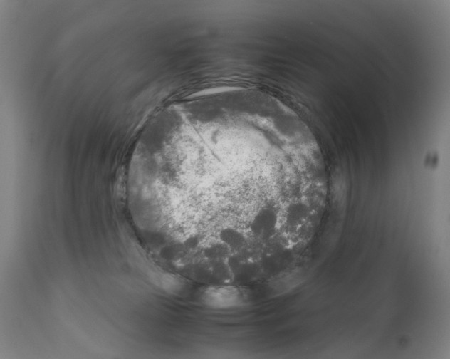 X0000110950181200907311051