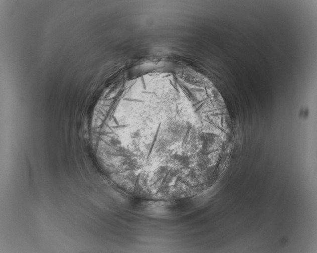 X0000110950182200907311051