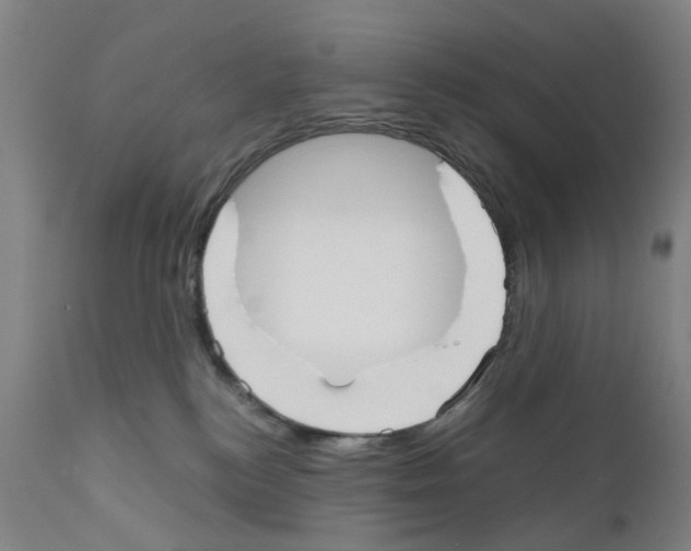 X0000110950184200907311051