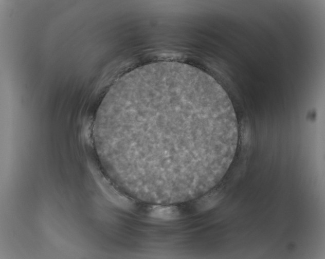X0000110950185200907311051