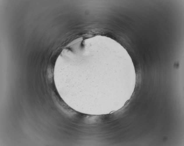 X0000110950186200907311051