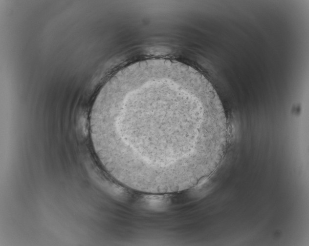 X0000110950187200907311051