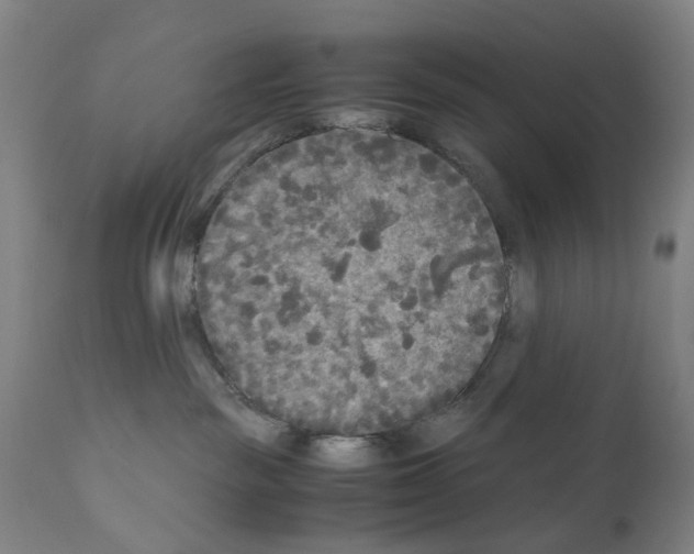 X0000110950189200907311051