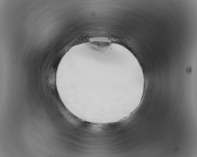 X0000110950190200907311051