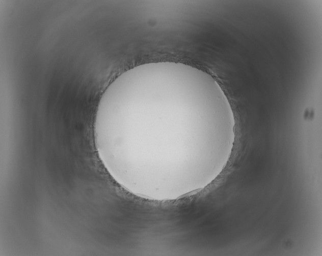 X0000110950192200907311051