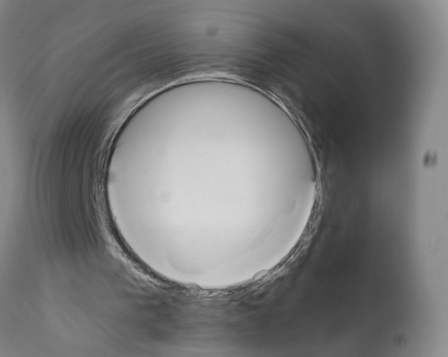 X0000110950193200907311050