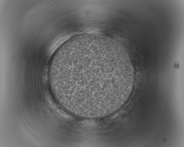 X0000110950194200907311050