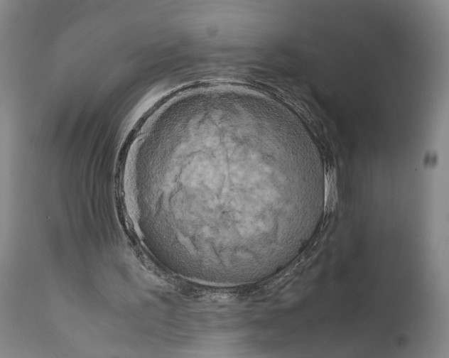 X0000110950195200907311050