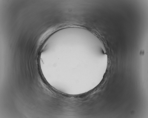 X0000110950197200907311050