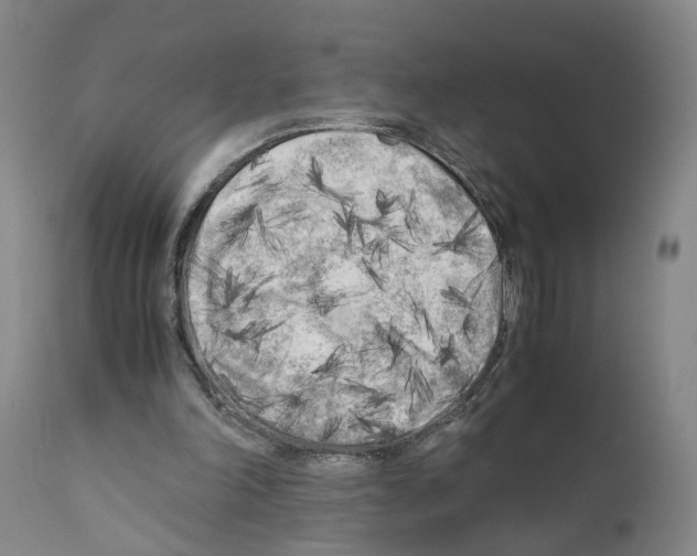 X0000110950198200907311050