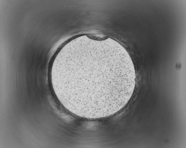 X0000110950200200907311050