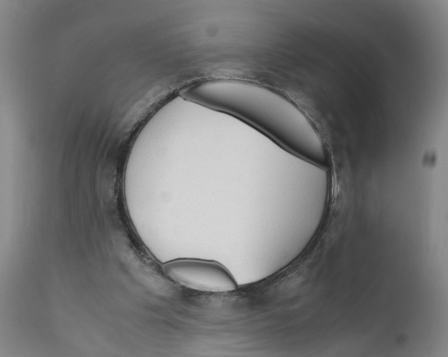 X0000110950201200907311050