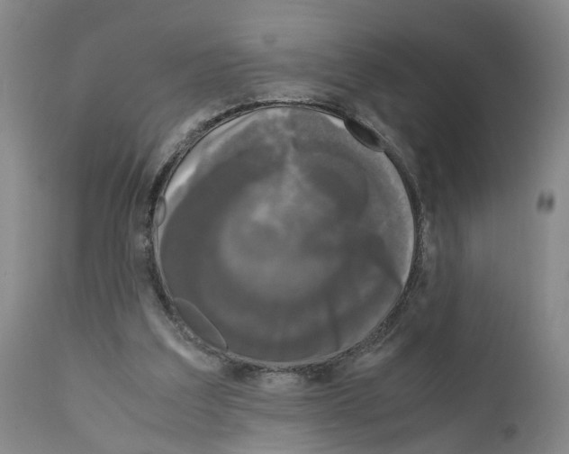 X0000110950203200907311050