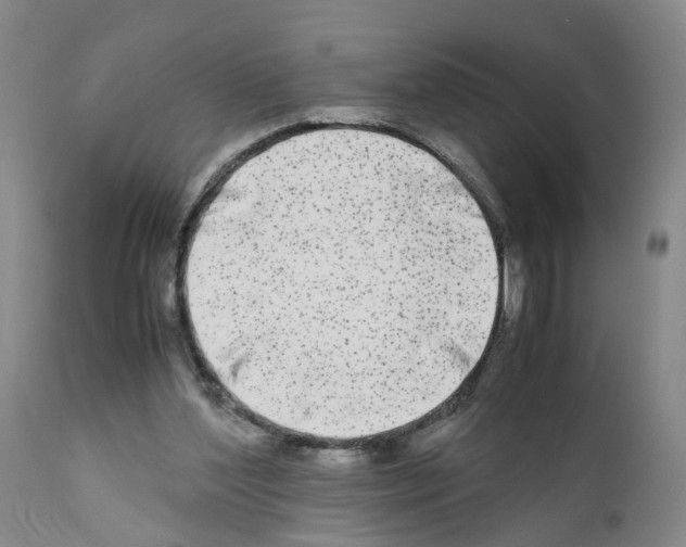 X0000110950204200907311050