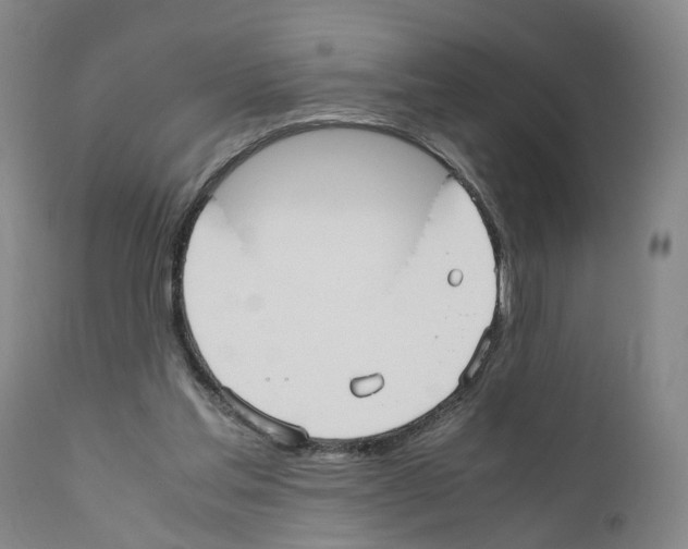 X0000110950205200907311050