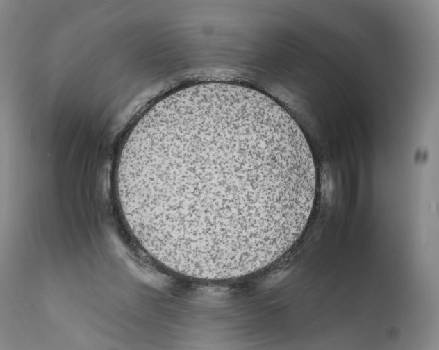 X0000110950206200907311050