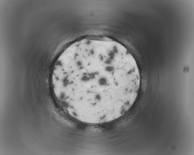 X0000110950207200907311050
