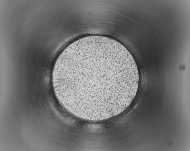 X0000110950208200907311050