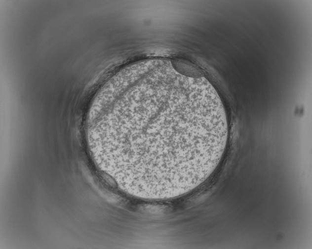 X0000110950209200907311050